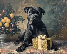 Cane Corso Cane con Regalo