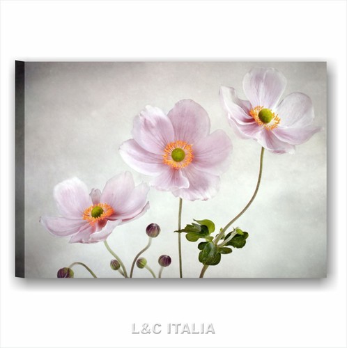 Fiori vintage quadro stampa - fiori,