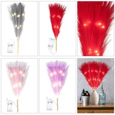 Erba Pampas Finta Pre