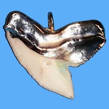 Ciondolo Argento Dente Squalo