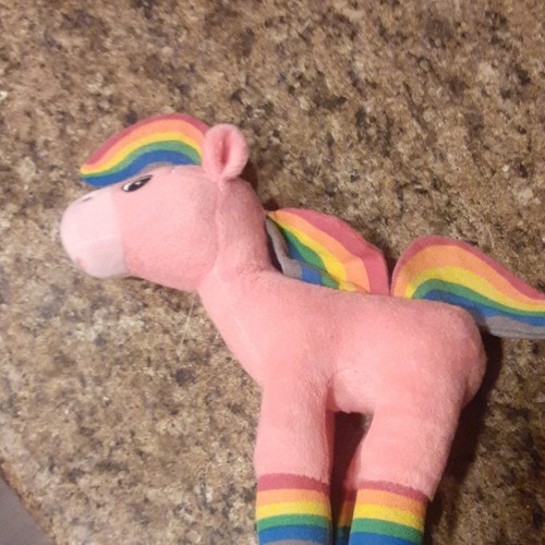 Cavallo arcobaleno primo - cavallo,