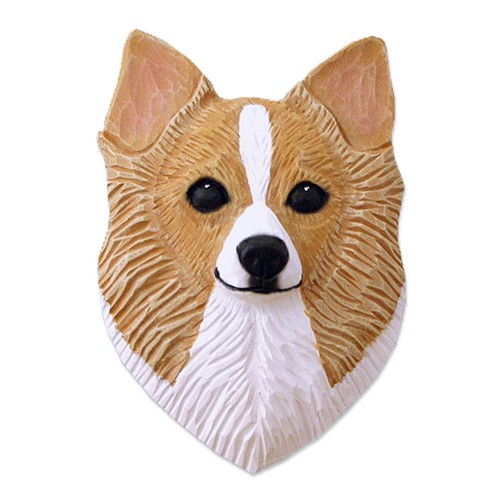 Placca testa chihuahua - a,