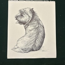 Penna e inchiostro originali