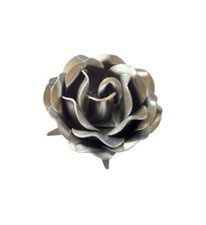 Rosa fiore ornamentale in