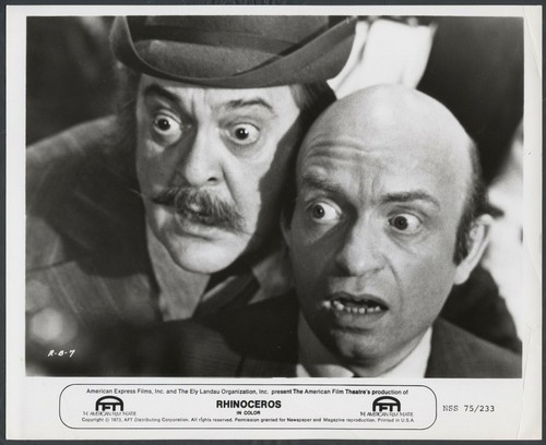 Rhinoceros zero mostel lou - '73,