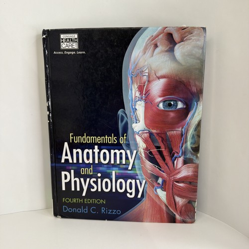 Fundamentals anatomy and - fundamentals,
