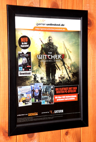 The witcher assassins - witcher,