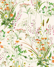 Carta Regalo 70x100  Fiori