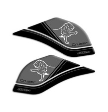 Protezioni Laterali Serbatoio