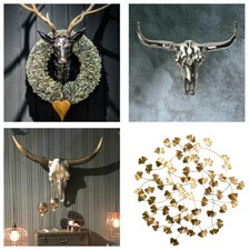 Corna Testa Toro Teschio di