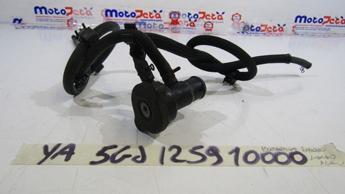 Tappo radiatore con - , tubo