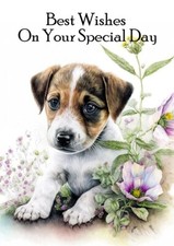 JACK RUSSELL TERRIER CUTE