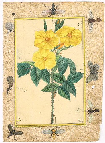 Fatto mano fiore dipinto - fatto, a
