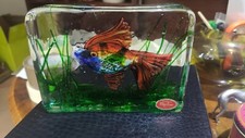 Acquario In Vetro Murano Di Licata Per Cenedese