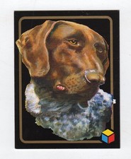 figurina card - AMICI DEL