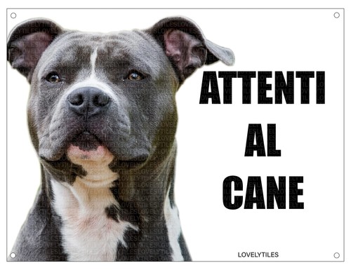 Amstaff attenzione cane mod - amstaff, al