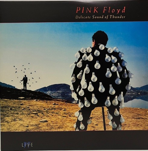 Pink floyd delicate sound of - -delicate,