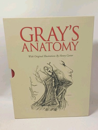 Gray anatomy original - anatomy,