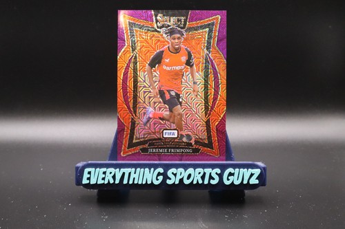 2024 panini select - 2024-25,