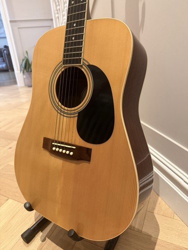 Chitarra acustica samick - chitarra,