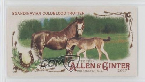 2017 allen ginter cavallo - allen, in