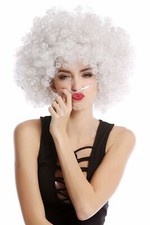 Parrucca Afro Parrucca Afro Anni 70 Festa Funky Disco Foxy Grigia PW0011-P309