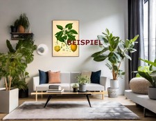 Physostigma venenosum Balfor, POSTER 90x60 cm