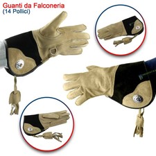 Guanto da Falconeria Aquila