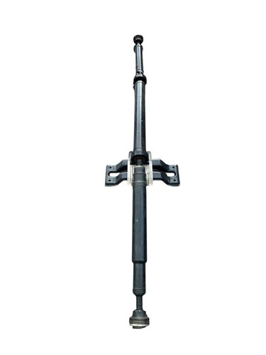 Lr023283 albero - albero, di