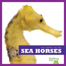 Sea Horses (Bullfrog Books
