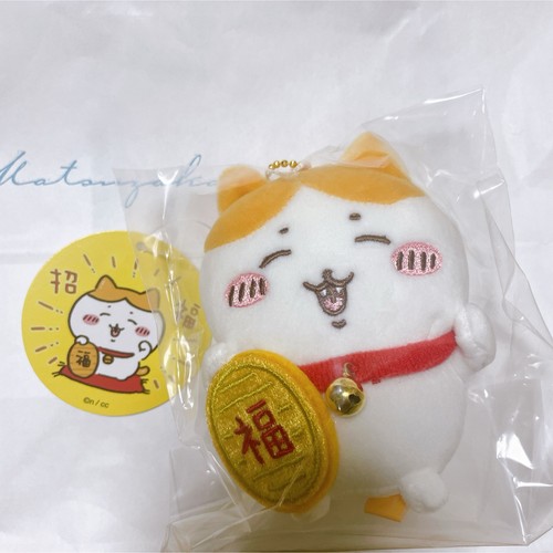 Chiwawa lucky - chiwawa, cat