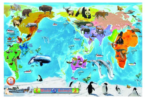 Animal mondo mappa grande - animal,