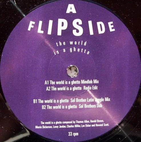 Flipside the world - the, is