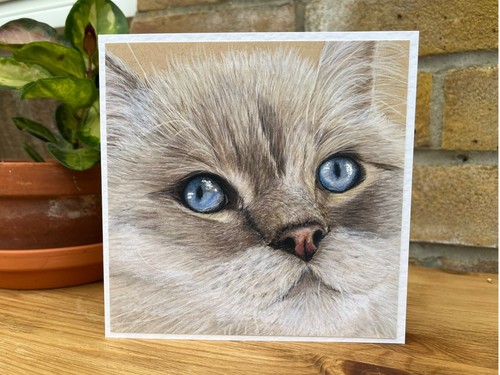 Biglietto auguri ragdoll - di,