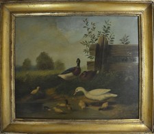 OCHE E ANATRE - Dipinto
