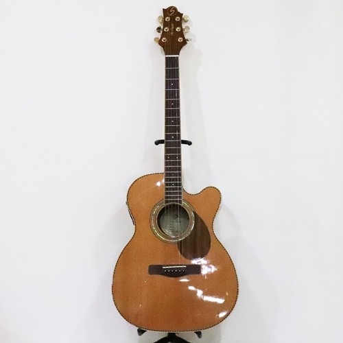 Chitarra elettrica acustica