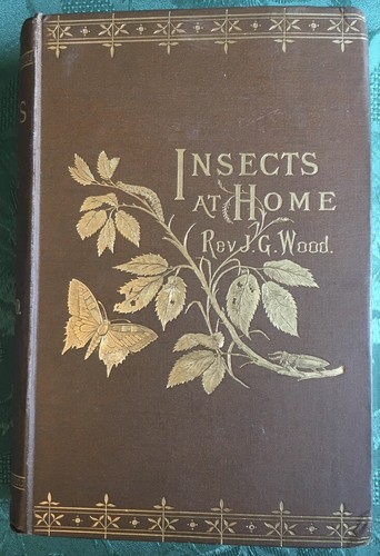 Insects home rev g wood - g,