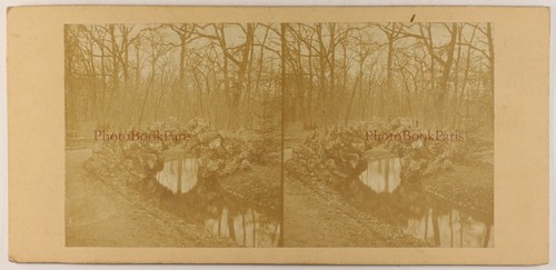 Parigi legno bologna creek - legno,