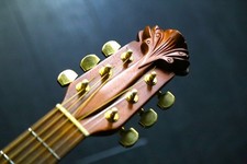 Ovation Adamas 1587 Acoustic