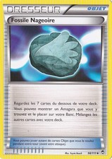 Fossile Nageoire - XY3:Poings
