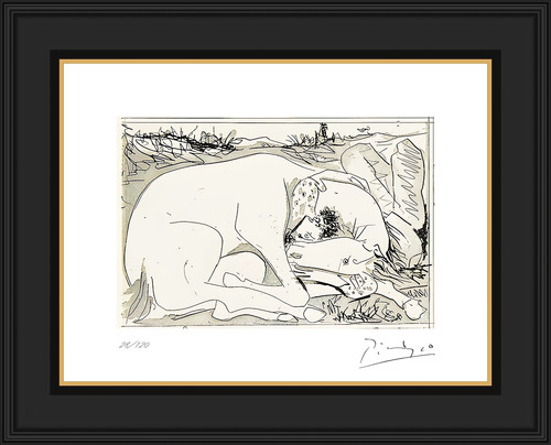 Picasso suenos mentiras - suenos, de