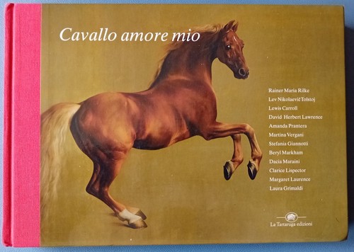 Cavallo amore mio - aa.vv.,