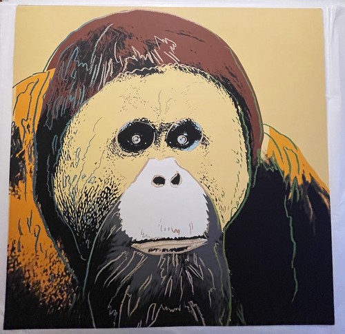 Andy warhol orangutan - warhol,