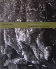 ULIVImmortali. Giano dell'Umbria e le sue piante d'argento - De Matteis Ernesto