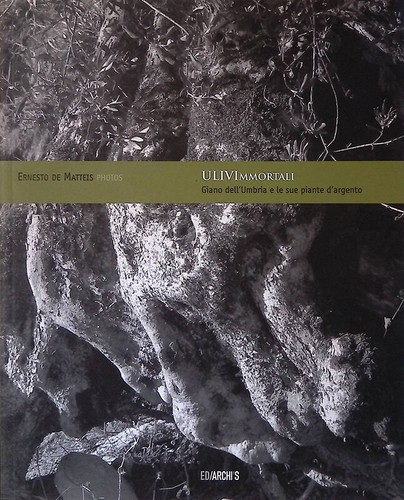 Ulivimmortali giano - ulivimmortali.,