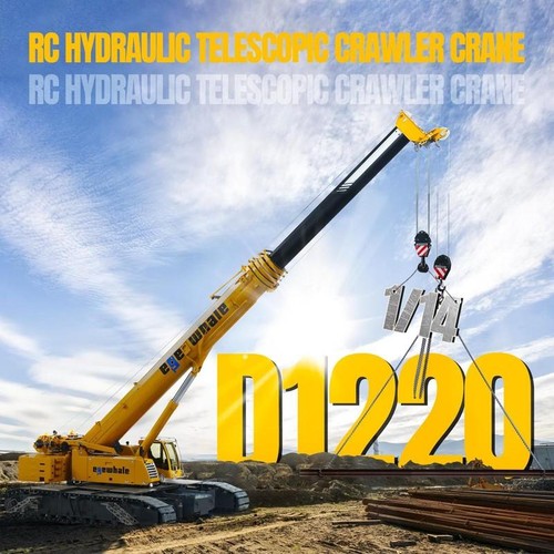 Eyewhale d1220 idraulico - eyewhale,
