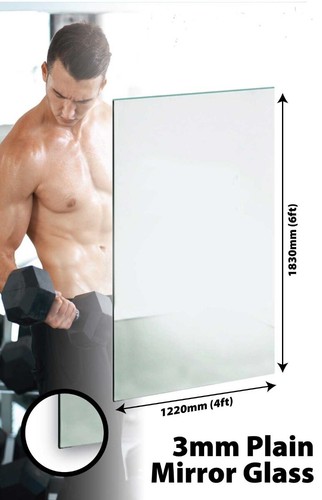 Specchio palestra vetro pesi - specchio,