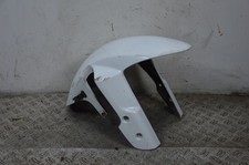 79981 Carena Parafango