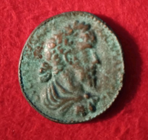 Antica moneta greca - moneta,