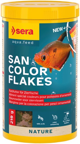 Sera fiocchi per - sera, pesci